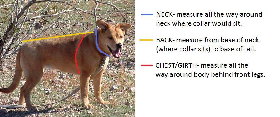 sizing chart